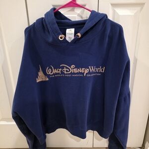 Walt Disney World 50th Anniversart Blue Hoodie